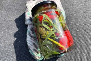 Glas med krydderier og grøntsager