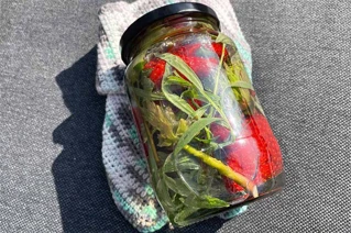 Glas med krydderier og grøntsager